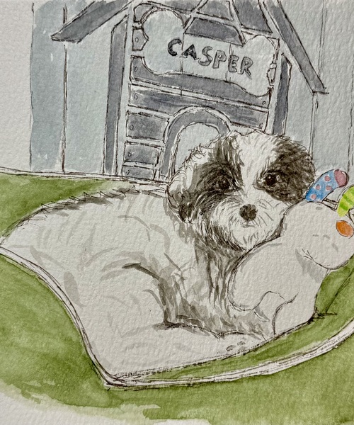 Pets Gallery